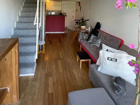 Departamento en Alquiler 8 años