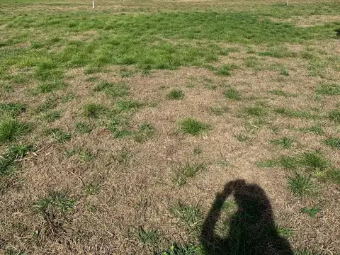 Country Medal Golf Club