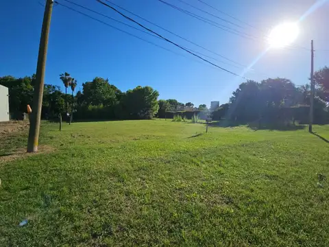 9 DE JULIO  350 ENTRE NAPOLES Y LONDRES