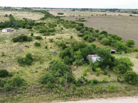 Vendo Lote de 1 Hectárea en Colonia Elia, Entre Ríos.