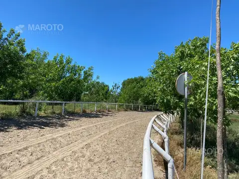 Terreno en Venta de 170000,0 m2