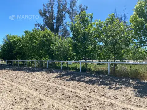 Terreno en Venta en Dique Lujan, USD 6.700.000