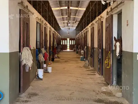 Terreno en Venta de 170000,0 m2