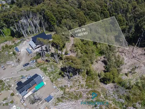 VENTA LOTE 1000 M2 FALDEO  CUMELEN C/VISTA