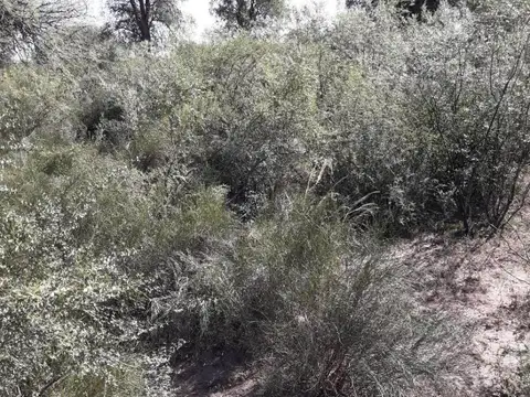 VENTA EXCLUSIVA/CAMPO 79 HA/TITULOS PERFECTOS/CHARBONIER