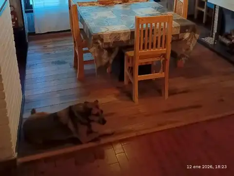 Casa en venta - 3 Dormitorios 2 Baños - 220mts2 - General Madariaga