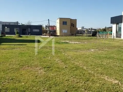 El Ensueño Maschwitz 1200