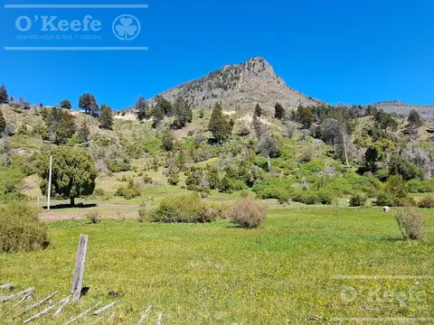 Campo en venta 150 has con Rio en  Cuesta del Ternero, Rio Negro