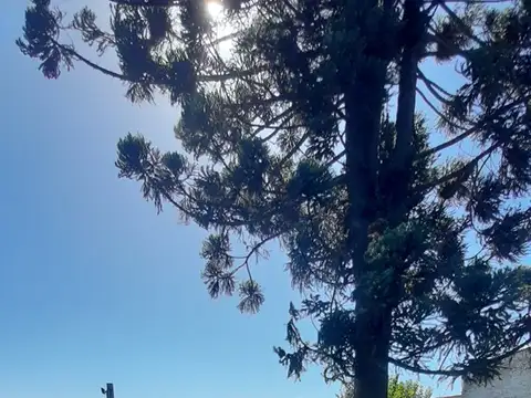 Casa Quinta  en Venta en Roque Perez