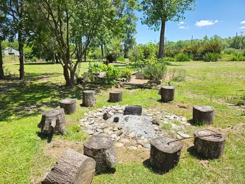 Local en Alquiler 46 años