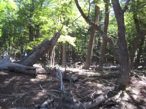 Campo en Cholila 1200ha - Zona El Cajon