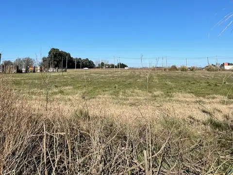 130 entre Ecuador y Maestros Argentinos