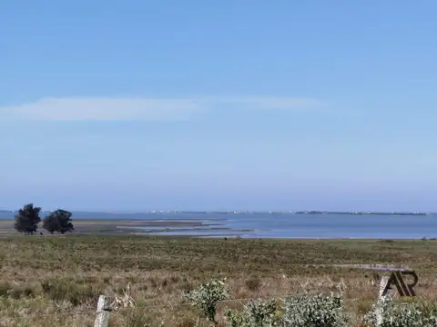 Chacra de 24,8 ha entre canchas de polo, y con vista a Laguna de José Ignacio.