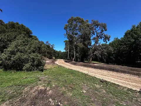 Exclusivo loteo en venta en Chapadmalal