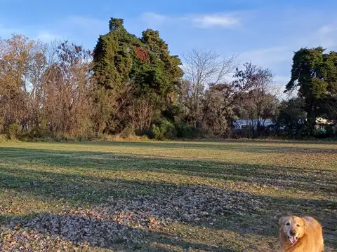 Terreno en Venta de 1280,0 m2