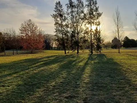 Medal Country Club Pilar - Ruta 34