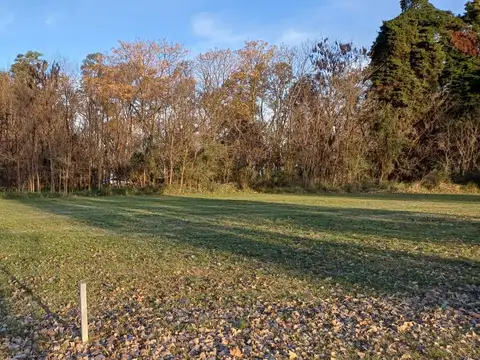 Terreno en Venta 55  mts Fondo