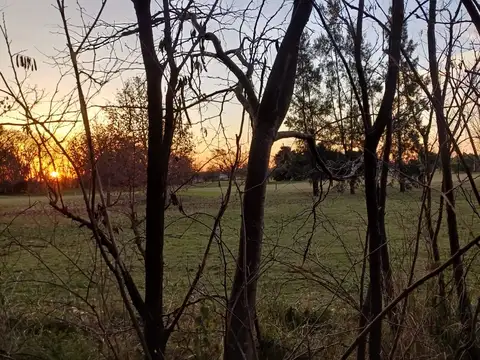 Terreno, Lote al Golf, en Medal Country Club - Pilar