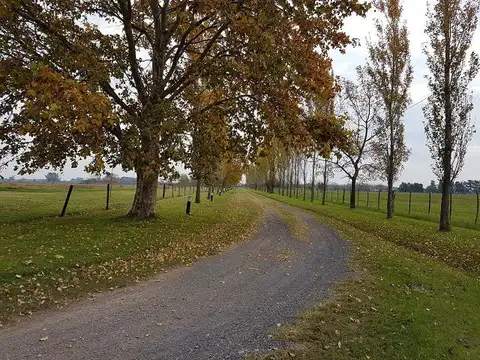 Campo terreno en venta Villa Amelia