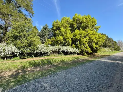 Casa en venta - 3 Dormitorios 2 Baños - Chivilcoy