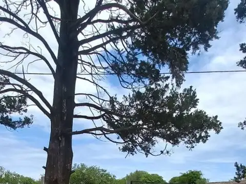 Terreno en Venta de 615,0 m2