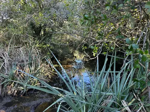Chacra de 3.4 ha Laguna de José Ignacio, Maldonado/uruguay.