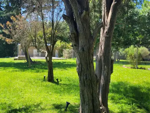 Quinta en Alquiler Temporal 7 años