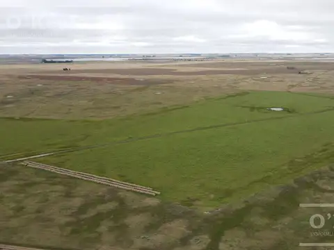 Campo en venta 175 has Chascomus