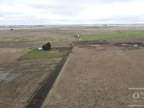 Campo en venta 175 has Chascomus