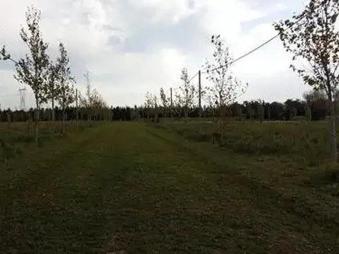 Terreno en Venta 44  mts Frente