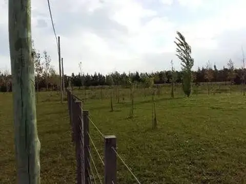 Terreno en Venta en Baradero, USD 32.000