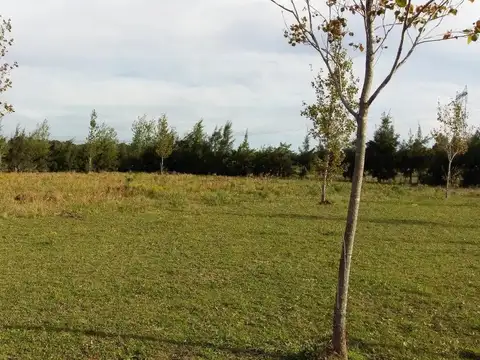 Terreno en Venta de 2275,0 m2