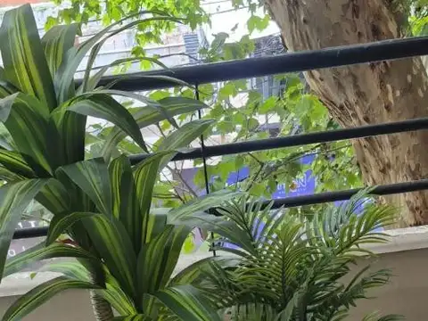 Departamento en Alquiler Temporal 20 años