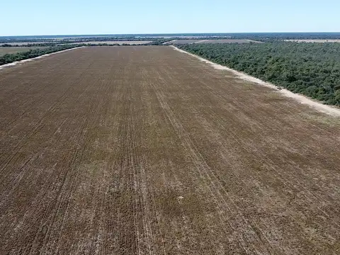 Campo en Venta en Anta