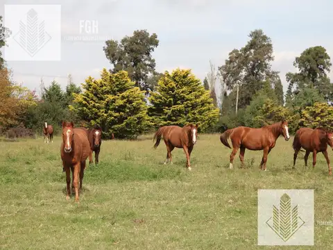 Terreno en Venta en Countries y Barrios Cerrados en Campana, USD 26.000