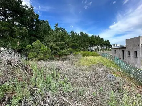 Senderos IV - Costa Esmeralda