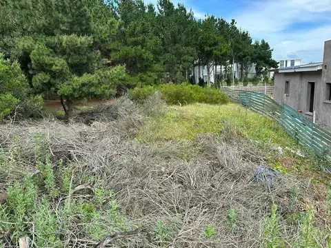 Terreno en Venta 20  mts Frente