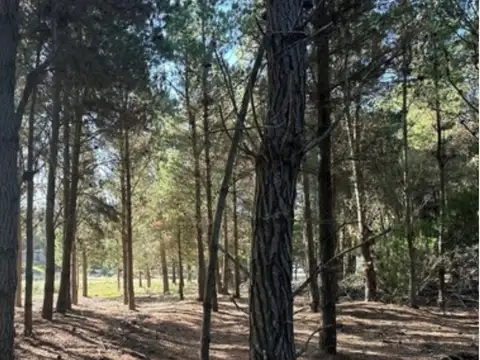 Costa Esmeralda - Senderos III 300