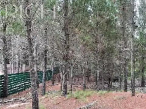Lote  en Venta en Costa Esmeralda, Costa Atlántica, Buenos Aires