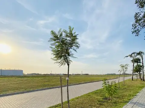 Ángel Marino Gervaso 500