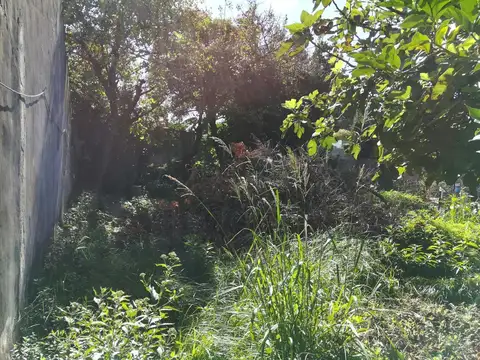 Galpon en Venta 34  mts Fondo