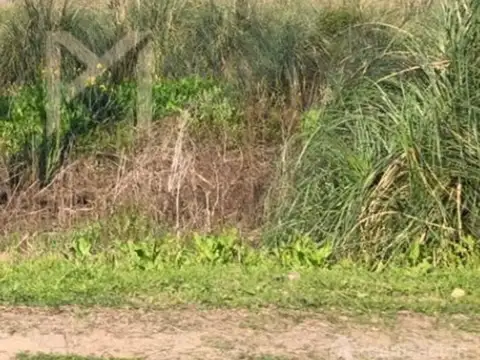 Terreno en Venta en Ciudad De Tigre, USD 145