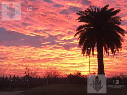 Terreno en Venta de 803,0 m2