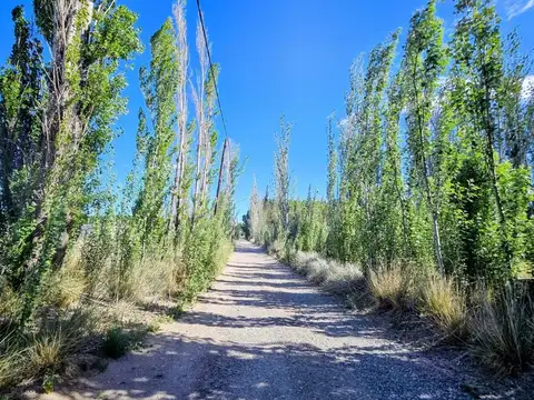 Terreno en Venta de 5913,0 m2