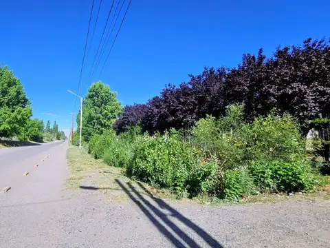 Terreno en Venta en Plottier, USD 305.000