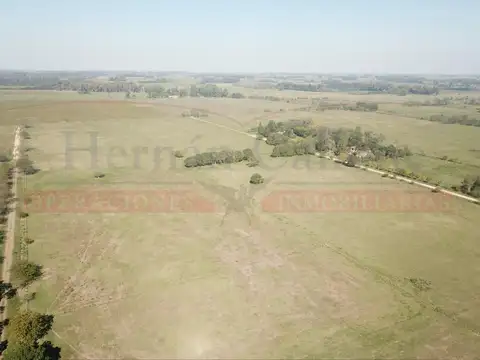 Terreno en Venta de 10305,0 m2