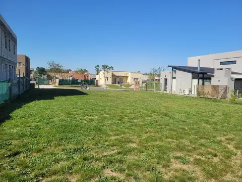 Leandro Niceforo Alem 3300