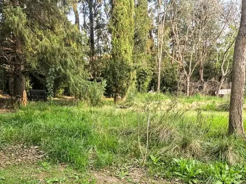 Espectacular Lote en Carmel C.C.