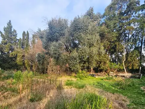 Espectacular Lote en Carmel C.C.