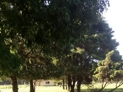 ECHEGOYEN -EXALTACION DE LA CRUZ BUENOS AIRES